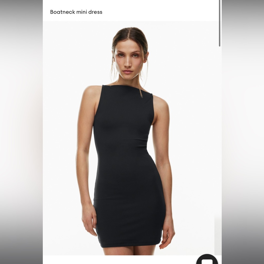 Aritzia Contour Svelte Dress